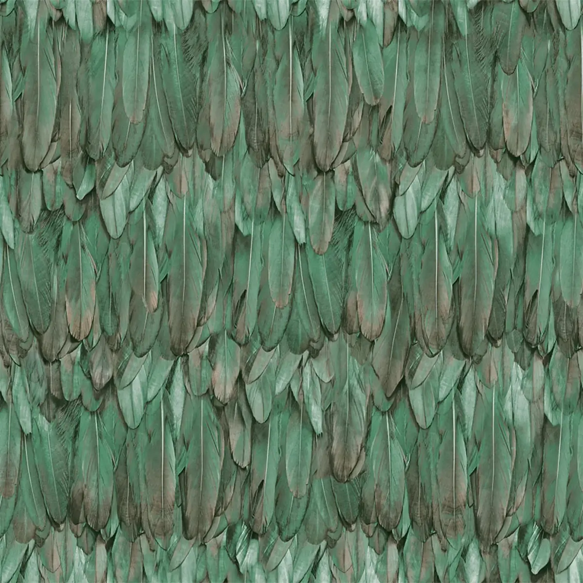 Modern Bird Feather Patterned Wallpaper Green Code 9913-4 - Image 5