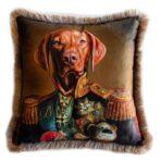 Cushion Cover Collection Multicoloured Code EY244CC