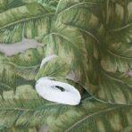 Banana Leaf Wallpaper Green Code 1507-3