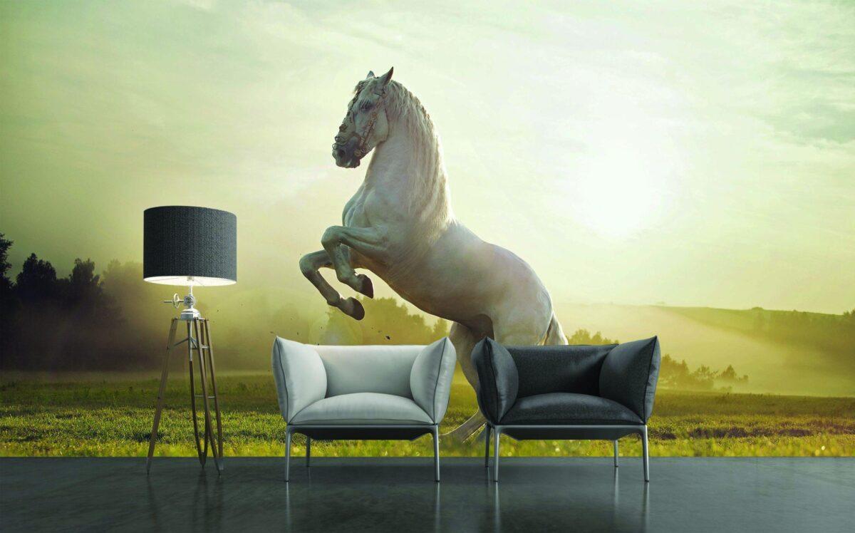 Trend, VINYL FABRIC TEXTILE Wall Mural in Different Texture, Code M802. It is produced as ONE PIECE WITHOUT JOINT. - Image 2