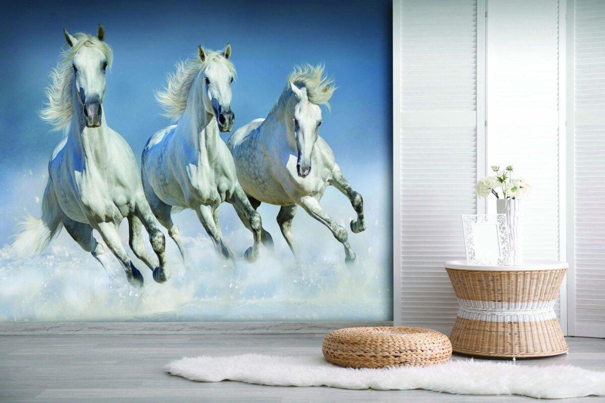 Trend, VINYL FABRIC TEXTILE Wall Mural in Different Texture, Code M803. It is produced as ONE PIECE WITHOUT JOINT. - Image 2