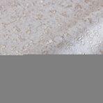Classic Plain Wallpaper Brown Code 1410-5 - Image 3