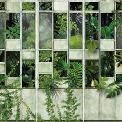 Fresh Green Tropical Leaves MURAL WALLPAPER, Available in Various Paper Texture, Code M706. It is Produced as 105 CM WIDE ROLL PANELS.