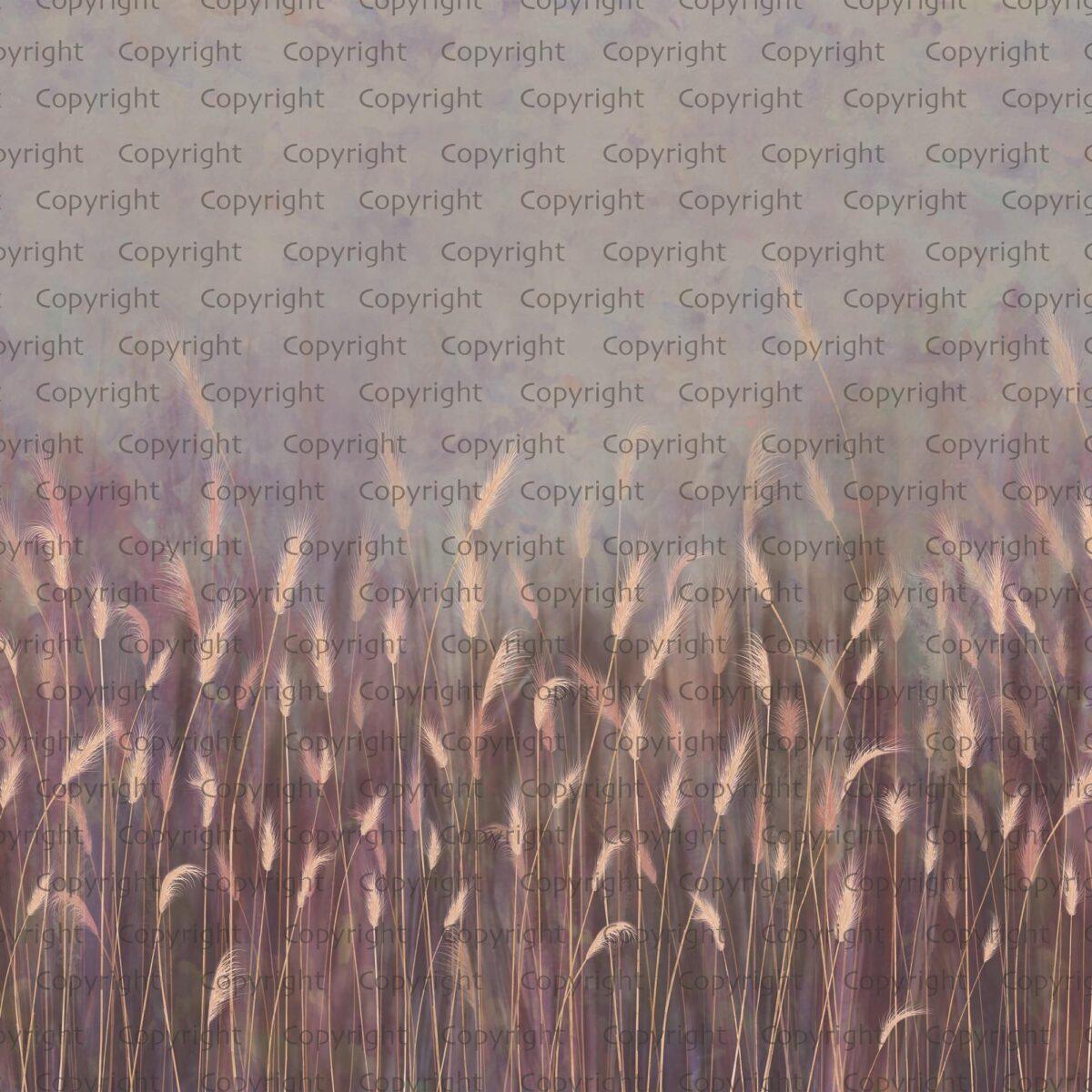 Pampas Flower Design MURAL WALLPAPER, Available in Various Paper Texture, Code SE302. It is Produced as 105 CM WIDE ROLL PANELS. - Image 2
