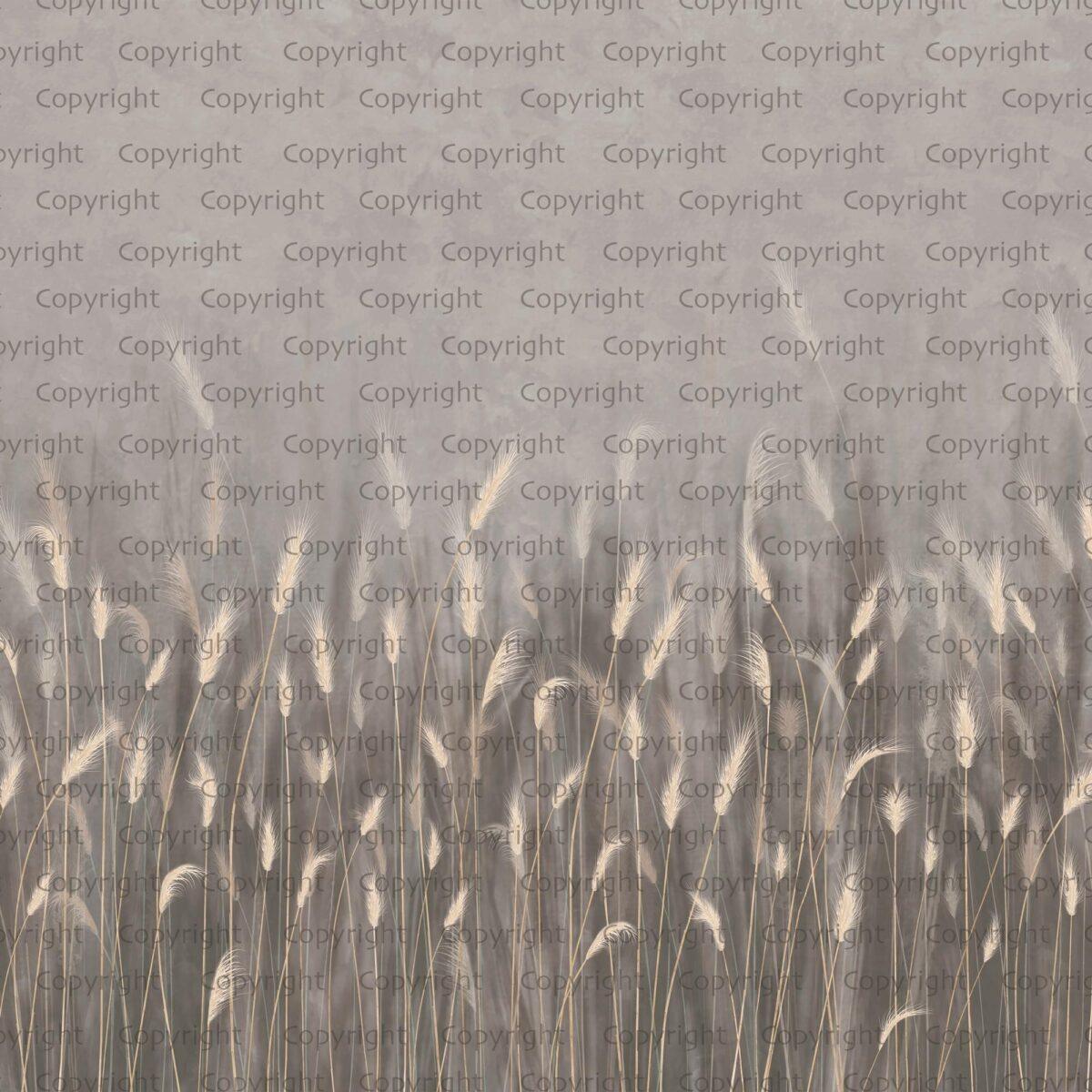 Pampas Flower Design MURAL WALLPAPER, Available in Various Paper Texture, Code SE302. It is Produced as 105 CM WIDE ROLL PANELS. - Image 3