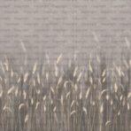 Pampas Flower Design MURAL WALLPAPER, Available in Various Paper Texture, Code SE302. It is Produced as 105 CM WIDE ROLL PANELS. - Image 3