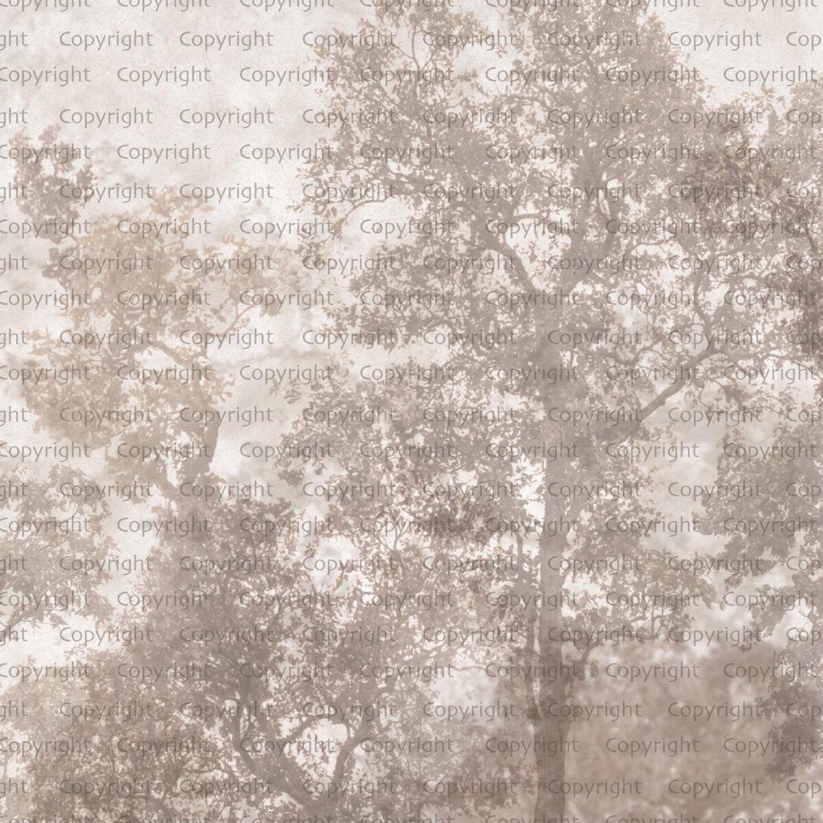 Tree Design, VINYL FABRIC TEXTILE Wall Mural in Different Texture, Code SE312. It is produced as ONE PIECE WITHOUT JOINT. - Image 2