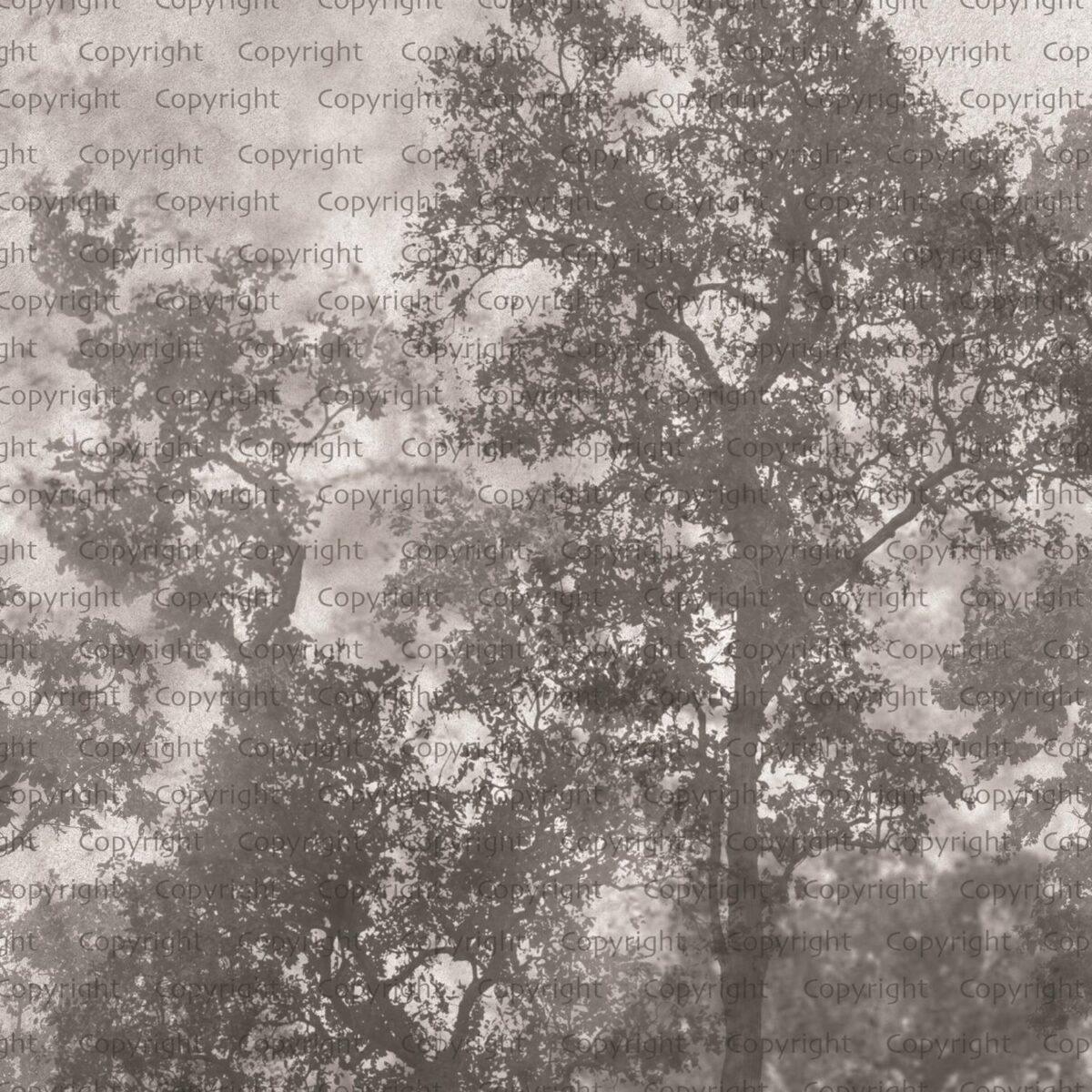 Tree Design, VINYL FABRIC TEXTILE Wall Mural in Different Texture, Code SE312. It is produced as ONE PIECE WITHOUT JOINT. - Image 1