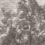 Tree Design, VINYL FABRIC TEXTILE Wall Mural in Different Texture, Code SE312. It is produced as ONE PIECE WITHOUT JOINT.