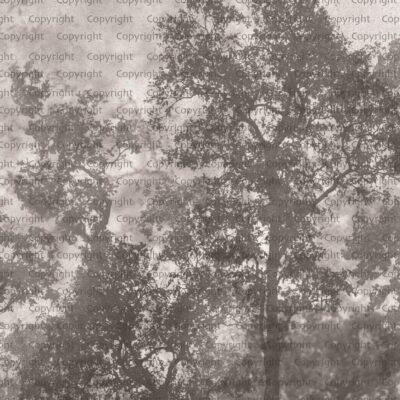Tree Design, VINYL FABRIC TEXTILE Wall Mural in Different Texture, Code SE312. It is produced as ONE PIECE WITHOUT JOINT.