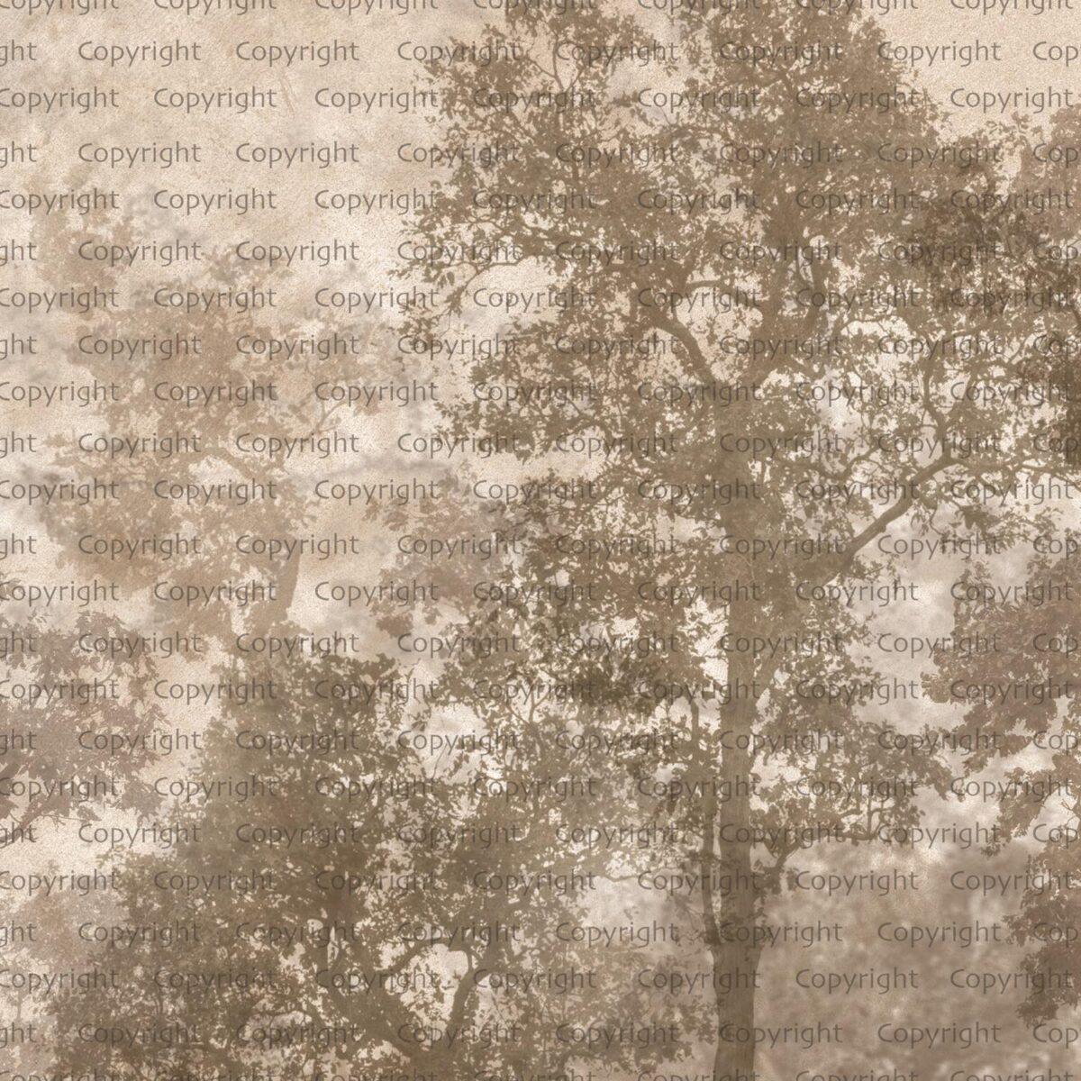 Tree Design, VINYL FABRIC TEXTILE Wall Mural in Different Texture, Code SE312. It is produced as ONE PIECE WITHOUT JOINT. - Image 3