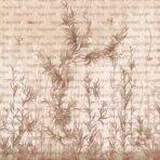 Limonium Flowers Design MURAL WALLPAPER, Available in Various Paper Texture, Code SE317. It is Produced as 105 CM WIDE ROLL PANELS. - Image 2
