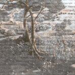 Nature Design MURAL WALLPAPER, Available in Various Paper Texture, Code SE319. It is Produced as 105 CM WIDE ROLL PANELS. - Image 3