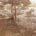Nature Design MURAL WALLPAPER, Available in Various Paper Texture, Code SE319. It is Produced as 105 CM WIDE ROLL PANELS. - Image 2