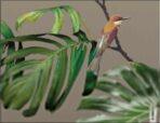 Monkey and Birds Design, VINYL FABRIC TEXTILE Wall Mural in Different Texture, Code FJ300.  It is produced as ONE PIECE WITHOUT JOINT. - Image 2